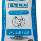 Happy Chicken Starter